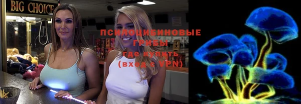 ГАЛЛЮЦИНОГЕННЫЕ ГРИБЫ Карпинск