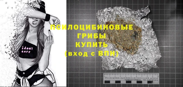 ГАЛЛЮЦИНОГЕННЫЕ ГРИБЫ Карпинск