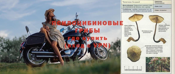 ГАЛЛЮЦИНОГЕННЫЕ ГРИБЫ Карпинск