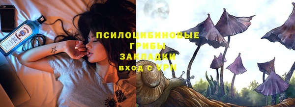 ГАЛЛЮЦИНОГЕННЫЕ ГРИБЫ Карпинск