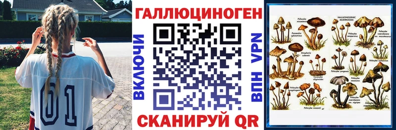 Псилоцибиновые грибы Psilocybe Новошахтинск