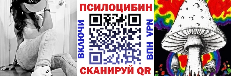 Галлюциногенные грибы MAGIC MUSHROOMS  купить наркоту  Новошахтинск 
